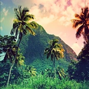 Meet your Posher, Kelli